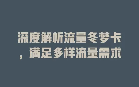 深度解析流量冬梦卡，满足多样流量需求