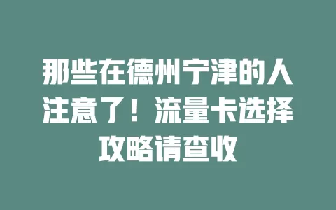 那些在德州宁津的人注意了！流量卡选择攻略请查收