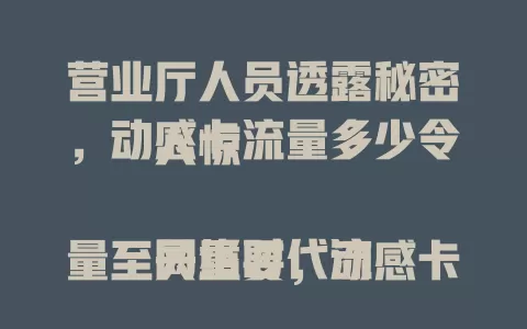 营业厅人员透露秘密，动感卡流量多少令人惊

网络时代流量至关重要，动感卡受关注，其流量因套餐而异，基础套餐有几十GB通用流量，高流量需求者可选上百GB甚至更多升级套餐，还有定向流量，按需选套餐畅享网络生活