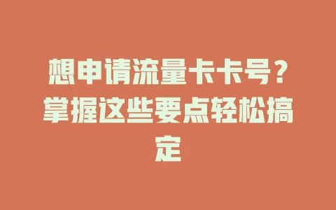 想申请流量卡卡号？掌握这些要点轻松搞定
