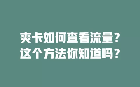 爽卡如何查看流量？这个方法你知道吗？