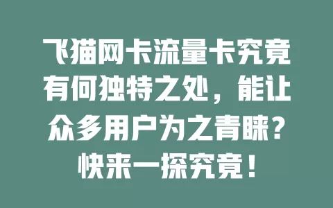 飞猫网卡流量卡究竟有何独特之处，能让众多用户为之青睐？快来一探究竟！