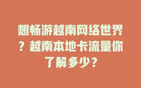 想畅游越南网络世界？越南本地卡流量你了解多少？