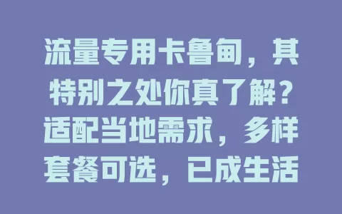 流量专用卡鲁甸，其特别之处你真了解？适配当地需求，多样套餐可选，已成生活必备！