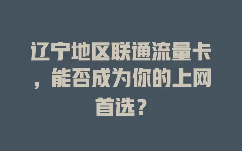 辽宁地区联通流量卡，能否成为你的上网首选？