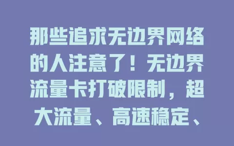 那些追求无边界网络的人注意了！无边界流量卡打破限制，超大流量、高速稳定、使用便捷，商务人士和网络娱乐族必备，带你畅享自由高效网络生活