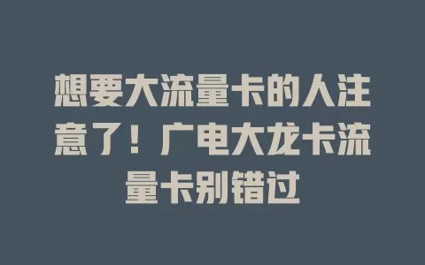 想要大流量卡的人注意了！广电大龙卡流量卡别错过