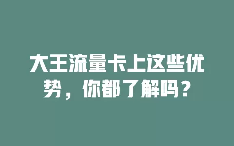 大王流量卡上这些优势，你都了解吗？