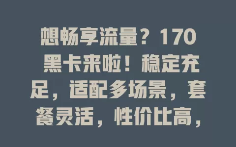 想畅享流量？170 黑卡来啦！稳定充足，适配多场景，套餐灵活，性价比高，为你提供优质流量保障