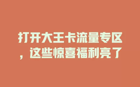 打开大王卡流量专区，这些惊喜福利亮了