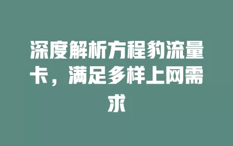 深度解析方程豹流量卡，满足多样上网需求