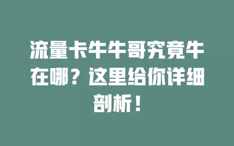 流量卡牛牛哥究竟牛在哪？这里给你详细剖析！