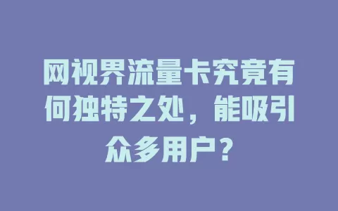 网视界流量卡究竟有何独特之处，能吸引众多用户？