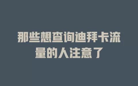 那些想查询迪拜卡流量的人注意了