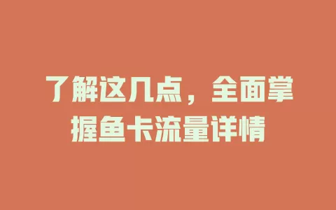 了解这几点，全面掌握鱼卡流量详情