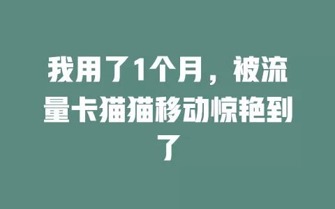 我用了1个月，被流量卡猫猫移动惊艳到了