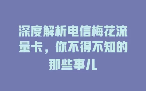 深度解析电信梅花流量卡，你不得不知的那些事儿
