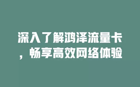 深入了解鸿泽流量卡，畅享高效网络体验