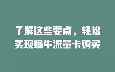 了解这些要点，轻松实现蜗牛流量卡购买