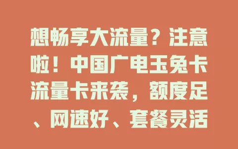 想畅享大流量？注意啦！中国广电玉兔卡流量卡来袭，额度足、网速好、套餐灵活、信号稳