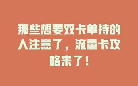 那些想要双卡单持的人注意了，流量卡攻略来了！