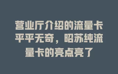 营业厅介绍的流量卡平平无奇，昭苏纯流量卡的亮点亮了