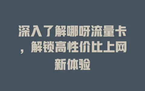 深入了解哪呀流量卡，解锁高性价比上网新体验