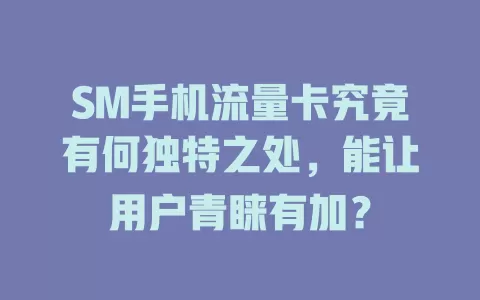 SM手机流量卡究竟有何独特之处，能让用户青睐有加？