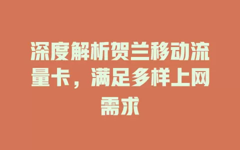 深度解析贺兰移动流量卡，满足多样上网需求