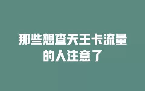 那些想查天王卡流量的人注意了