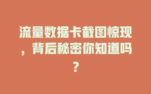 流量数据卡截图惊现，背后秘密你知道吗？