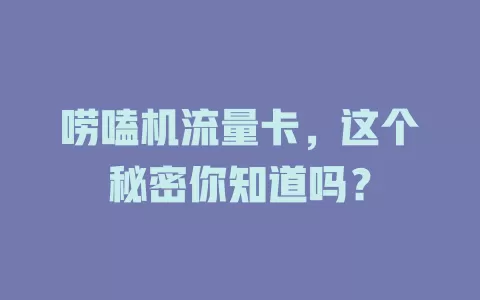 唠嗑机流量卡，这个秘密你知道吗？
