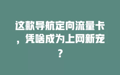 这款导航定向流量卡，凭啥成为上网新宠？