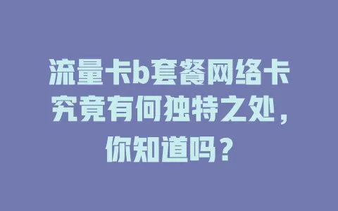 流量卡b套餐网络卡究竟有何独特之处，你知道吗？