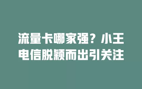 流量卡哪家强？小王电信脱颖而出引关注