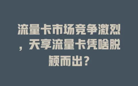 流量卡市场竞争激烈，天享流量卡凭啥脱颖而出？