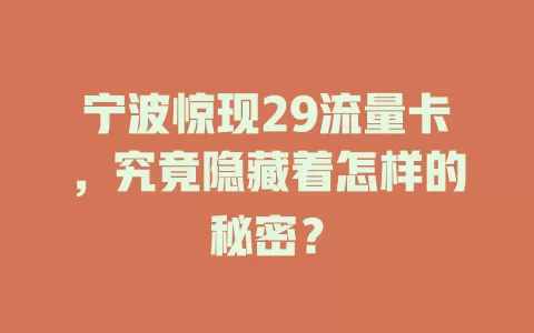 宁波惊现29流量卡，究竟隐藏着怎样的秘密？