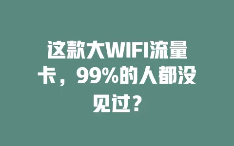 这款大WIFI流量卡，99%的人都没见过？
