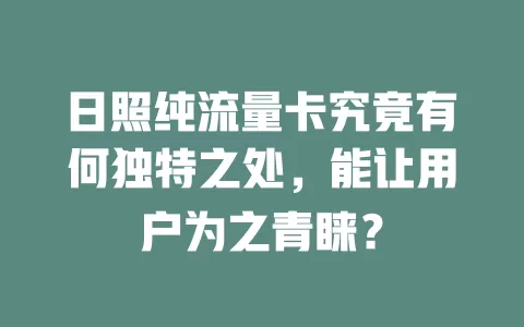 日照纯流量卡究竟有何独特之处，能让用户为之青睐？