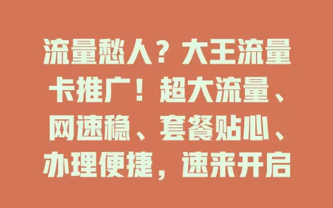 流量愁人？大王流量卡推广！超大流量、网速稳、套餐贴心、办理便捷，速来开启畅快上网之旅