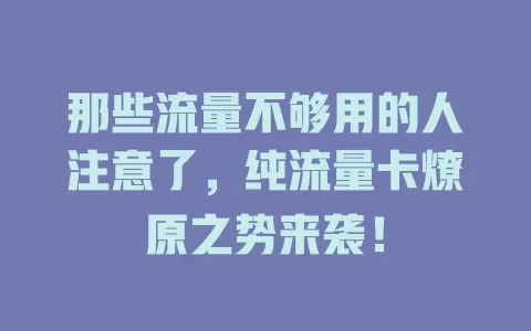 那些流量不够用的人注意了，纯流量卡燎原之势来袭！