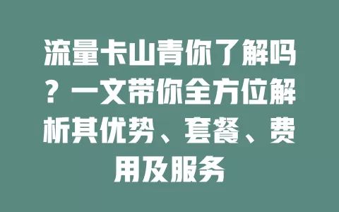 流量卡山青你了解吗？一文带你全方位解析其优势、套餐、费用及服务