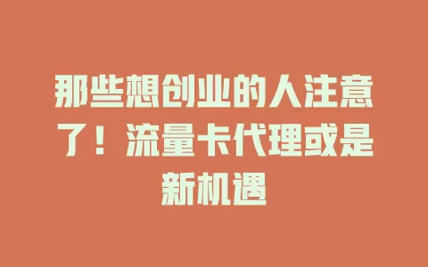 那些想创业的人注意了！流量卡代理或是新机遇
