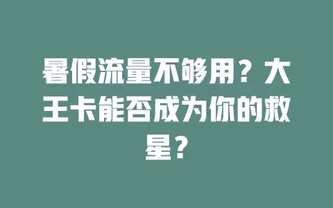 暑假流量不够用？大王卡能否成为你的救星？