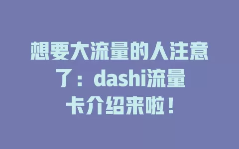 想要大流量的人注意了：dashi流量卡介绍来啦！