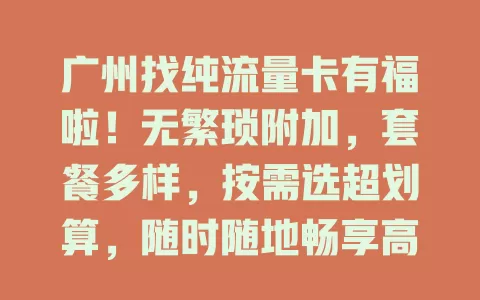 广州找纯流量卡有福啦！无繁琐附加，套餐多样，按需选超划算，随时随地畅享高速网络，赶紧来了解开启畅快上网之旅！