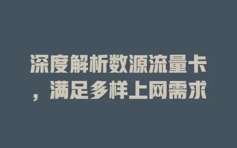 深度解析数源流量卡，满足多样上网需求