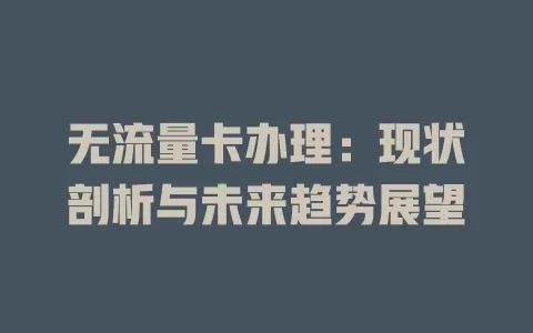 无流量卡办理：现状剖析与未来趋势展望