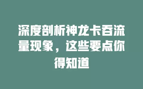 深度剖析神龙卡吞流量现象，这些要点你得知道