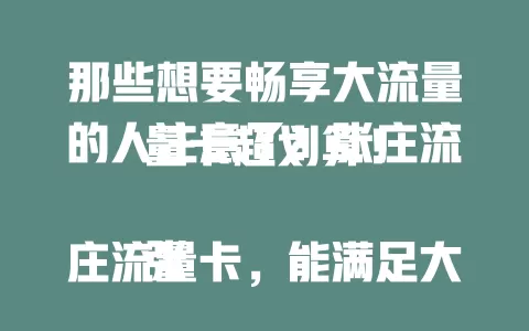 那些想要畅享大流量的人注意了！张庄流量卡超划算！

张庄流量卡，能满足大家日常上网需求。它流量充足，让你刷剧、玩游戏、冲浪都无比畅快，告别流量焦虑，尽情享受网络世界的精彩。